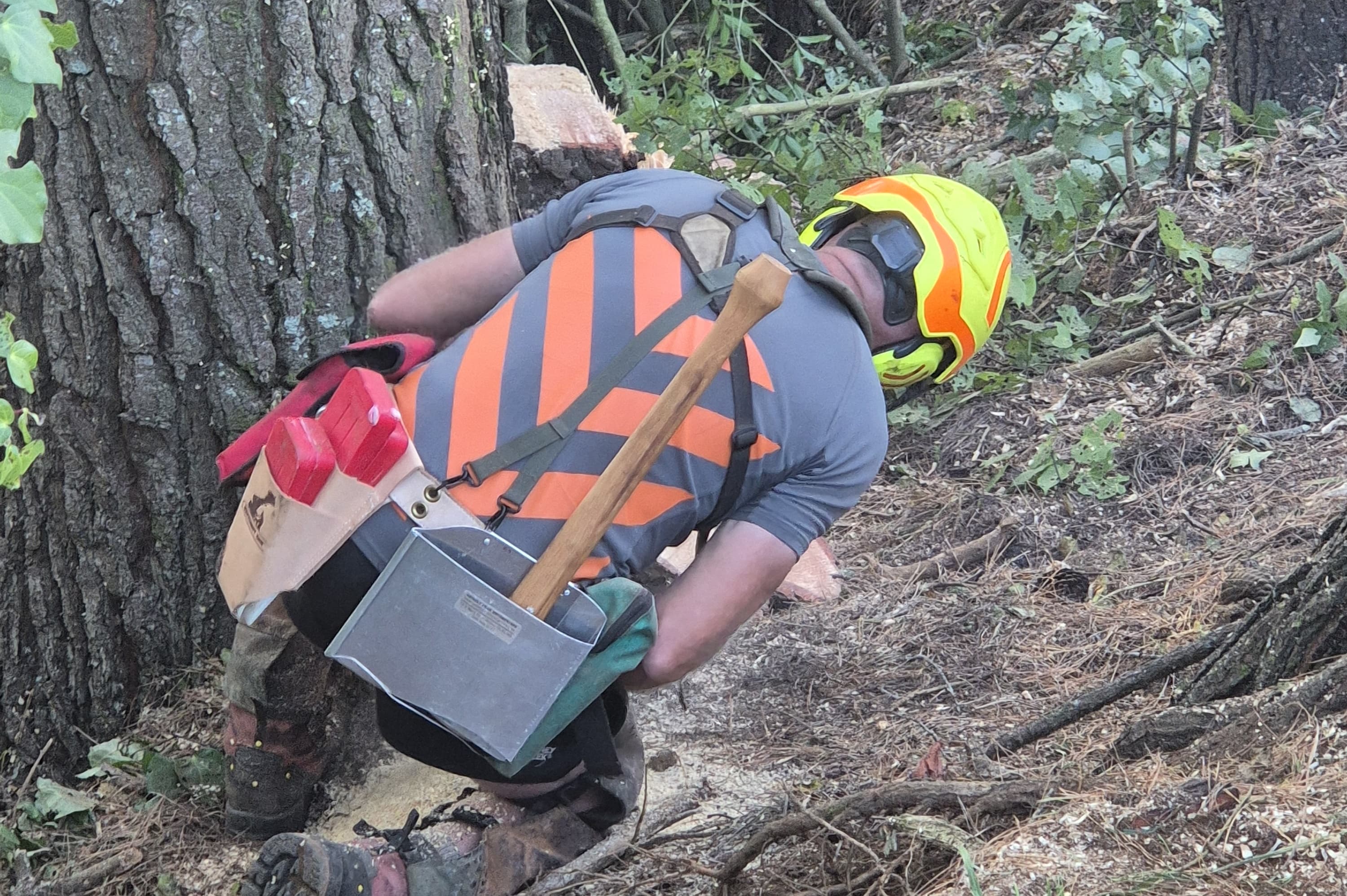 Pic of manual faller