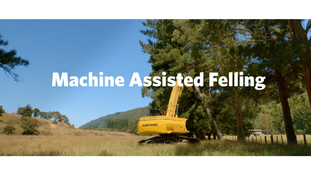 Machine-assisted felling